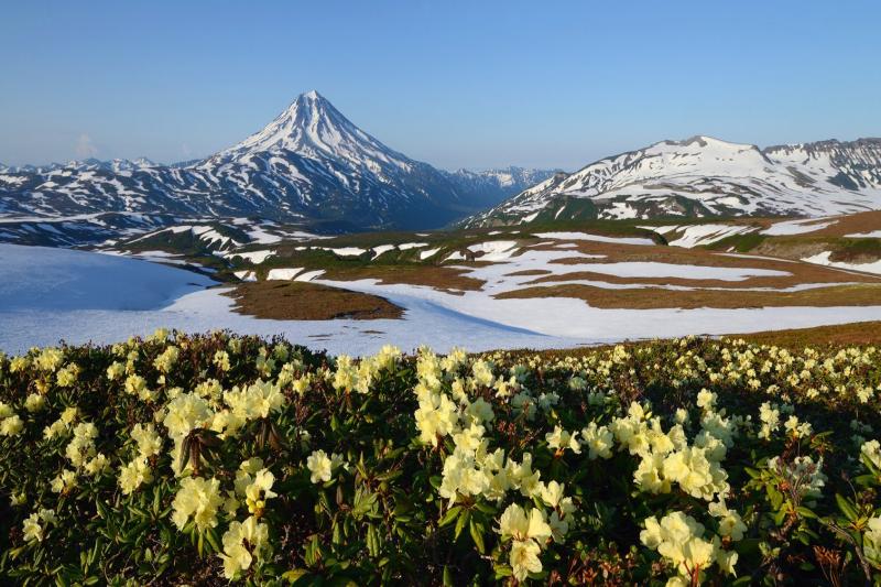 Камчатский край