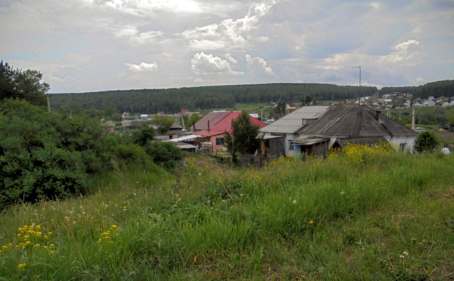 Камышная