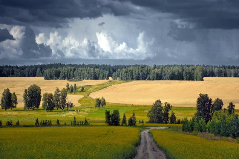 Курганская область