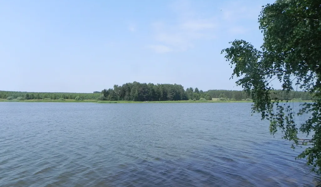Вязовики